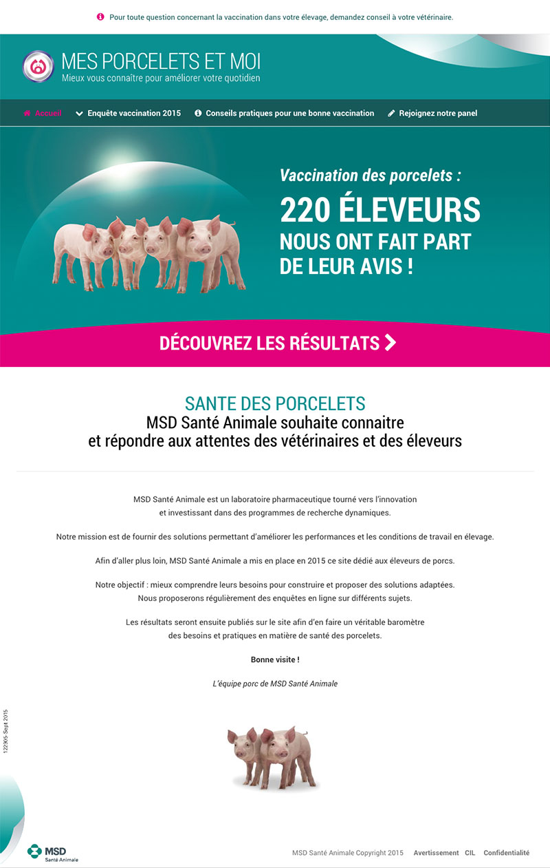 MSD, mes porcelets et moi