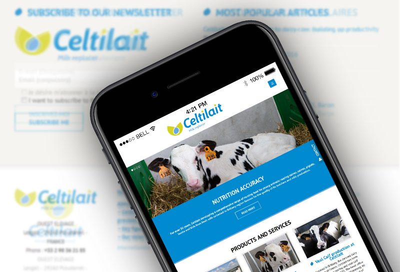 Nouveau site internet Celtilait et newsletter par Agence Appaloosa - Version Française - English version