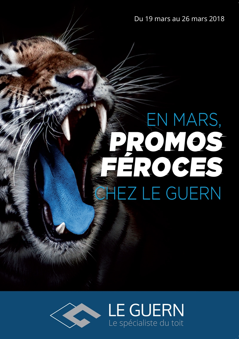 Couverture mailing féroce pour Le Guern