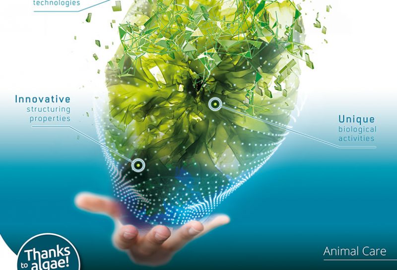 Le poster corporate d'Olmix