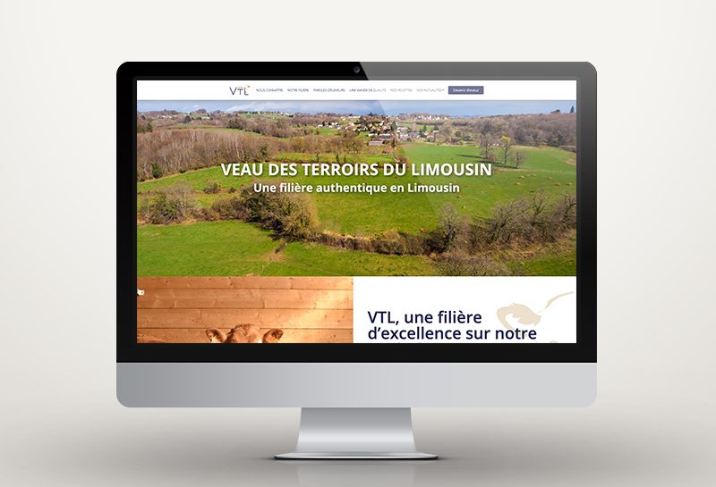 Présentation du site internet VTL
