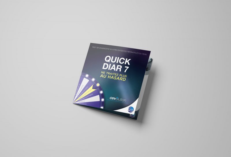 Couverture plaquette Quick Diar