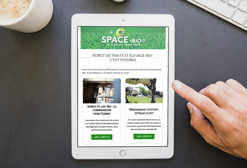 Newsletter Space