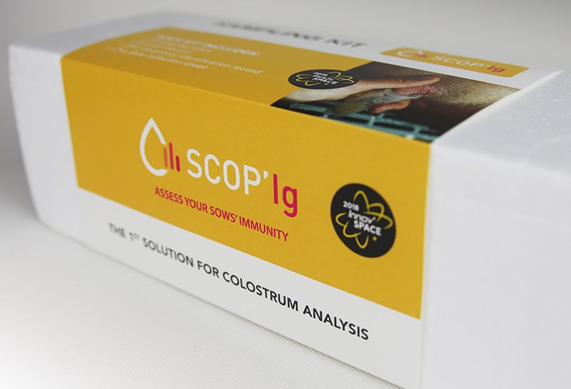 Scop'ig Kit Boite