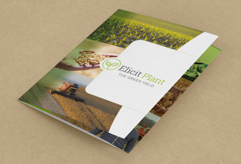 Elicit plant couverture de la plaquette
