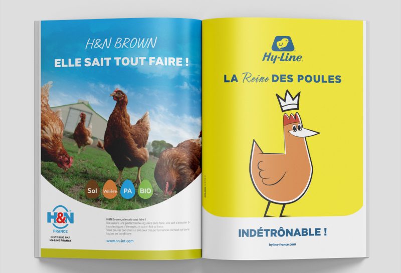 HY-Line encart publicité dans les magazines