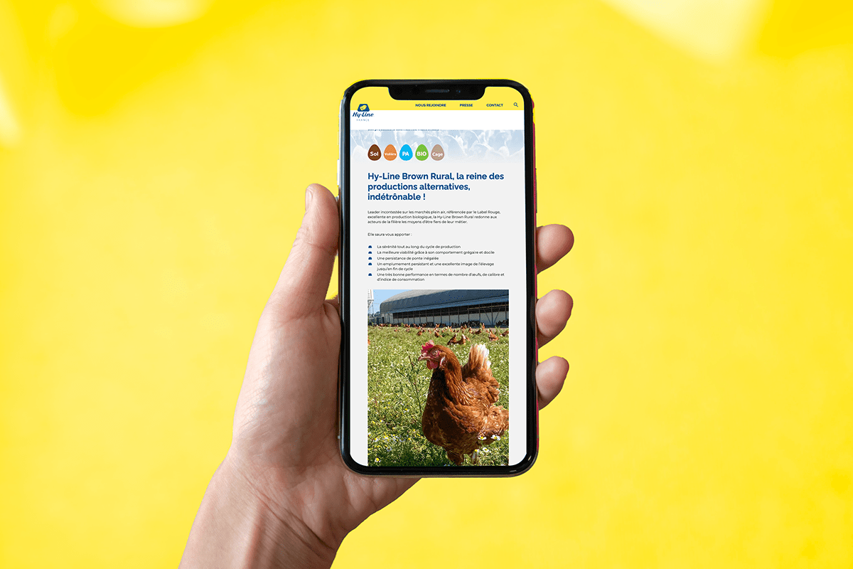 Hy-Line, présentation du site sur smartphone