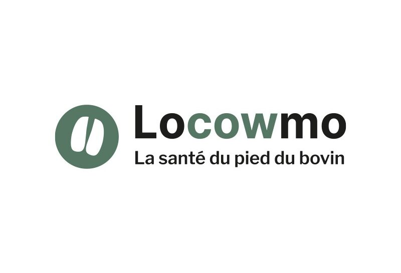 Logo Locowmo