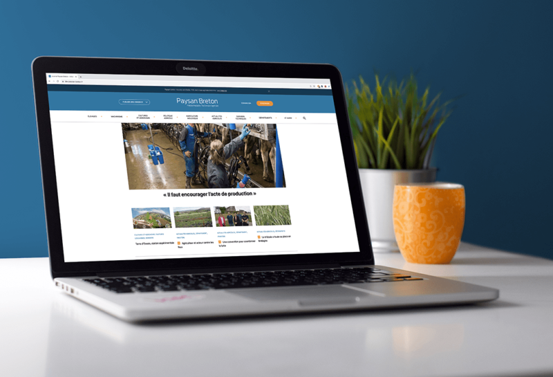 nouveau site paysan breton par appaloosa 1