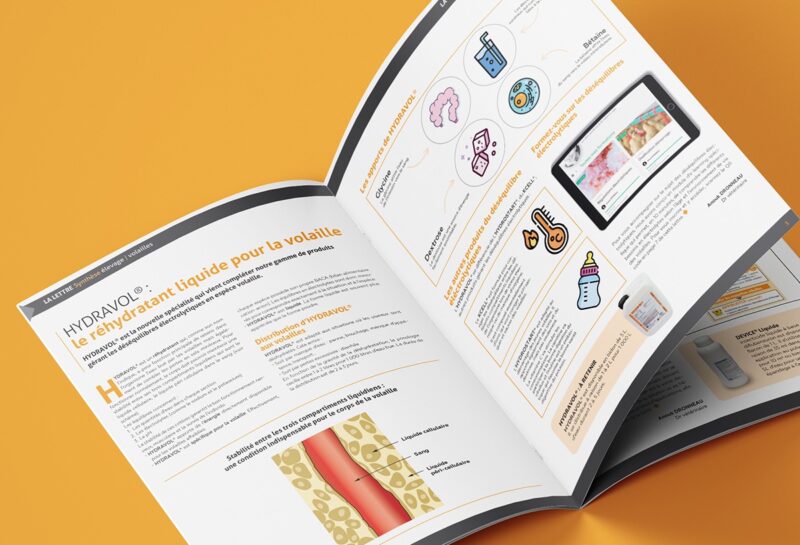 synthese elevage lettre volaille int