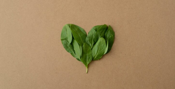 Coeur vert sur fond de papier kraft
