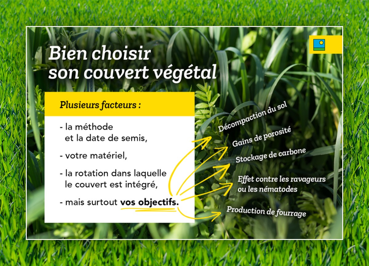 barenbrug reseaux sociaux herbe couvert vegetal 2