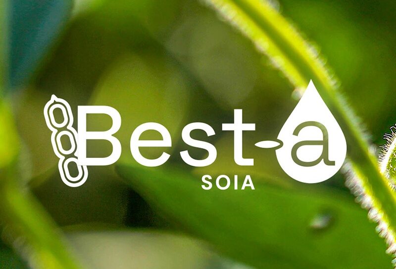 Best a soja d'Elicit Plant