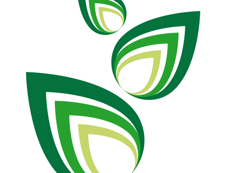 Site web VIRIDAXIS
